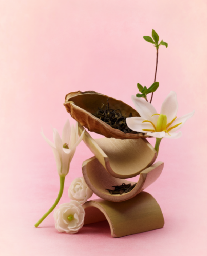 Molean Tea Mollytea – Premium Jasmine Tea from China | Handcrafted Floral Delight